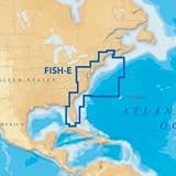 New-NAVIONICS USA FISH N CHIP EAST ON CF - 37648