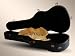 Electronics : Alhambra - etui guitare classique - polyurethane