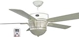 IMAGE OF White Finish Reiker Room Conditioner Thermostatic Remote Control Ceiling Fan With Heater