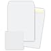 Quality Park Park Ridge Catalog Envelopes, 10 x 13 Inches, White, 100 ct. Box (41630)