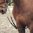 Shires Leather Harbridge-Black - Pony