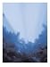 Storm Breaking Art Poster Print by Dion Salvador Lloyd, 24x32