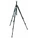 The Amateur Nature Photographer's Basics