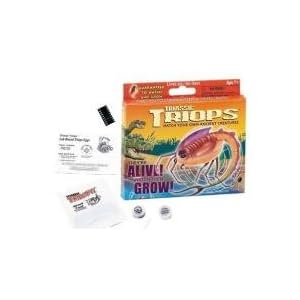 Triassic Triops Prehistoric Dinosaur Creatures Eggs and Food Nutrients Starter Box Set by TRIOPS