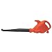 Tools & Hardware : Power Pro Cordless 12V Rechargeable Leaf Blower
