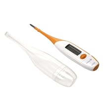 Safety 1st 3 In 1 Thermometer, Orange/White