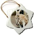 Red Kangaroo - 3 Inch Snowflake Porcelain Ornament