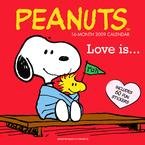 Peanuts Love Is... 2009 Wall Calendar