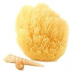 Natural Grass Sea Sponge - 5-6 Inch