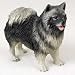 Keeshond - Figurine - Gift for Dog Lovers