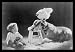 Buyenlarge - Dog Child and Chicken - What are they thinking? 12x18 Giclee on canvas