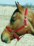 HALTER HORSE W/SNAP) B