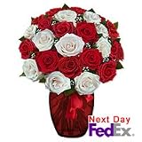 Roses - Red, White and Love