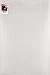 Darice 59458 Stiff Plastic Canvas 7 Count 12 in. x 18 in. -Clear