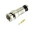 BNC Male Compression Coax Connectors RG59 Pack of 10