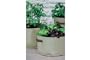 Haxnicks Vegetable Patio Planter - Pack of 3