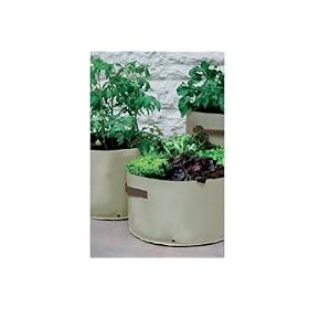 VEGETABLE PATIO PLANTER SOFT GREEN (PACK OF 3)