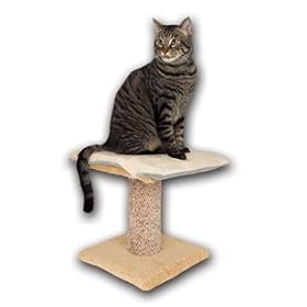 K&H Pet Products 12-Inch by 16-Inch Cat Bed Thermo-Kitty Furniture Warmer