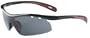 Ryders Eyewear Aero Sunglasses