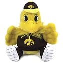 Iowa Hawkeyes 9" Plush Mascot