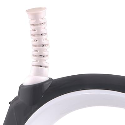 Morphy Richards Inspira 1000-Watt Dry Iron (White and Black)