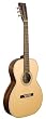 Recording King Century Studio Series 12th Fret OOO-Style Acoustic Guitar (Rosewood)