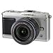 Great Small Cameras for 2009
