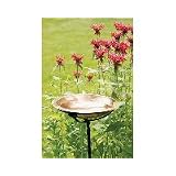 Achla Hammered Polished Copper Bird Bath with Rim by 
