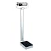 Detecto Eye Level Physician Scale 400 LB X 4 Oz With Height Rod and Wheels 10 1/2 X 14 1/2 Platform - Detecto 438