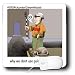 Londons Times Funny Cat Cartoons - Seeing Eye Cats - Mouse Pads