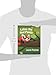 Laloo the Red Panda