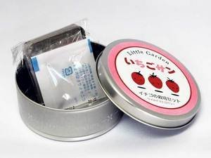 リトルガーデン　いちごサン　ワイルドストロベリー栽培セット 