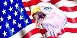 Airbrushed License Plates -American Flag-eagle – #1646