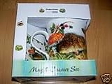 Wildlife Hedgehog Fine Porcelain Mug & Coaster Giftset