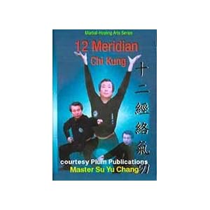 12 Meridian Chi Kung by 