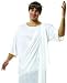 Adult Costumes Mens Unisex Greek Roman Senator Emperor Toga Costume Theme Party Outfit