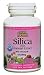 Silica Extract 500mg - 90 - Capsule