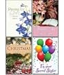 Scripture Greeting Cards-KJV-Boxed-Secret Sister - Secret Sister