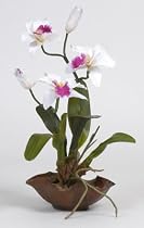 Nearly Natural 4007-WO Nearly Natural 4007-WO Mini Cattelya Silk Orchid Arrangement