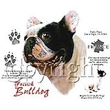 French Bulldog Adult T-Shirt