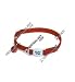 Coastal Pet Safe Cat Adjustable Breakaway Cat Collar with Bell (Red, 8-12 inch L)