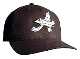 Aberdeen IronBirds Home Game Adjustable Hat