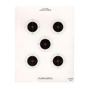 National Target 12 Bull Center Air Rifle