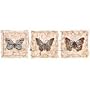 Zebra Butterfly Adult T-Shirt