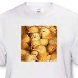 Baby Chicks - Toddler T-Shirt (2T)