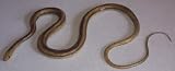 Toy Distributor - 48 Inch Yellow Striped Rat Toy Snake