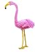  : Flamingo