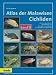 Atlas der Malawisee Cichliden 3. width=