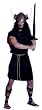 Deluxe Velveteen Costume Tunic (Tunic ONLY)