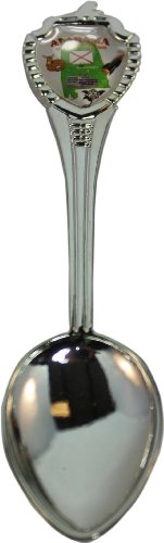 AL Souvenir Spoon